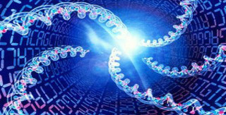 Матрица Горяева. Программа №7 «Женская линия»_0.jpg